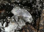 Polished Septarian Geode Sculpture - Barite Crystals #45212-3